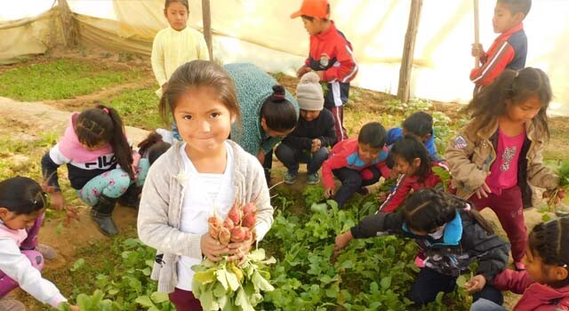 BOLIVIA COSECHA UE A ARNEZ.jpg